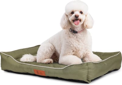 Pet Perfect Benchkussen L - Hondenkussen Wasbaar - Hondenmand - Groen - 70x50x10