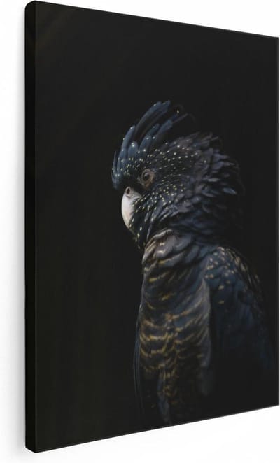 Artaza Canvas Schilderij Zwarte Vogel - 30x40 cm - Klein - Wanddecoratie Dieren - Muurdecoratie Papegaai - Kamer Accessoires