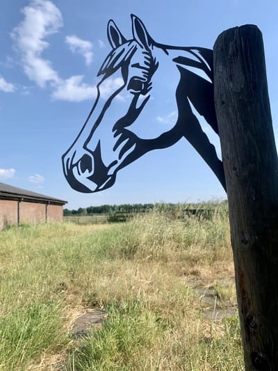 Metalen tuin decoratie - Het paard - Cortenstaal tuindecoratie