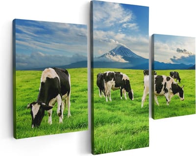 Artaza Canvas Schilderij Drieluik Koeien In De Wei - 90x60 - Foto Op Canvas - Canvas Print