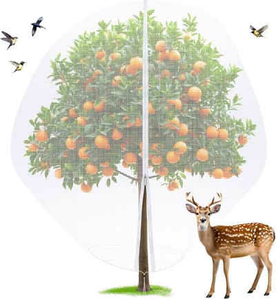 SnelShoppen - Fruitboom Beschermnet 3 x 3 m - Vogels en Insecten Net met Rits en Koord - Bescherming voor Fruitbomen en Planten - Nylon Mesh Tuin Net