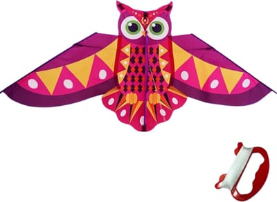 Livano Vlieger Voor Strand - Kite Vliegers - Kindervlieger - Uil - Paars