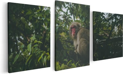 Artaza Canvas Schilderij Drieluik Aap In De Boom Tussen De Bladeren - 120x60 - Foto Op Canvas - Canvas Print