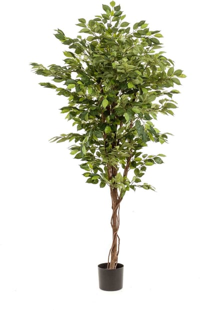 Emerald - Kunstboom Ficus Deluxe Vine 170cm - Kunstplant voor binnen