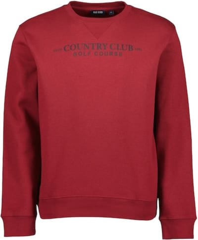 Blue Seven heren trui - trui rood + print voorzijde - 370153 - maat L
