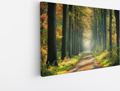 Saammp Canvas Schilderij - Natuur - bospad tussen de hoge bomen - landschap - 45x30 - Foto op canvas - Wanddecoratie - Muurdecoratie Woonkamer - Slaapkamer decoratie - Canvas Print