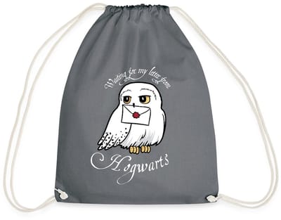 Harry Potter Hedwig Met Brief Waiting For My Letter Gymtas