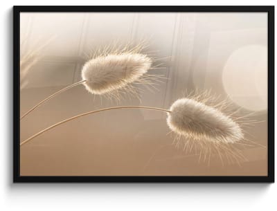 Poster in lijst - Fotolijst 90x60 cm - Posters - Hazestaartgras - Graanharen - Zonlicht - Posterlijst zwart - Decoratie - Wanddecoratie woonkamer - Muurdecoratie slaapkamer