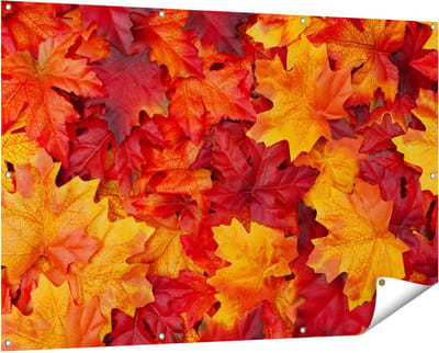 Gards Tuinposter Herfstbladeren in het Oranje en Rood - 150x100 cm - Tuindoek - Tuindecoratie - Wanddecoratie buiten - Tuinschilderij