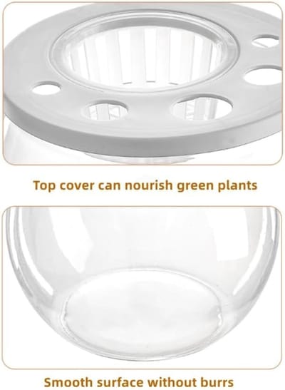 PolkaHome Rond Transparant Kunststof Vivarium voor Bettavissen en Planten, 18 cm Diameter, 4,7 Liter Inhoud, Duurzaam en Veilig