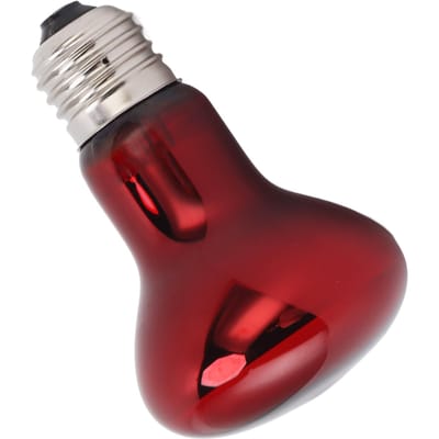 Ampoule Chauffante pour Reptiles E27 UVA Amphibien Basking Jour et Nuit Ampoule Chauffante pour Dragon Barbu Lézard 220 à 240V 25W
