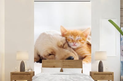 Behang - Fotobehang Dieren - Hond - Kitten - Rood - Breedte 180 cm x hoogte 280 cm