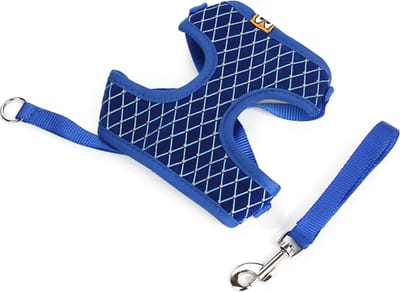 Kattentuigje Met Looplijn - Kattenharnas - Kittentuigje - Kattenriem Met Looplijn - Kitten Tuigje Verstelbaar - Blauw - IXEN