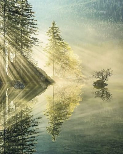 Fotobehang - Indulgence of Beauty 200x250cm - Vliesbehang