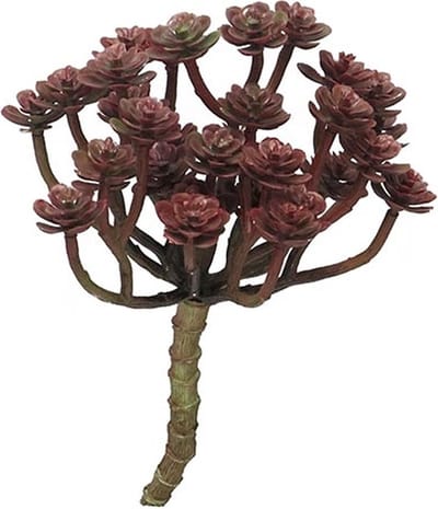 Cacta rood 19 cm kunstplant Erutan Avon