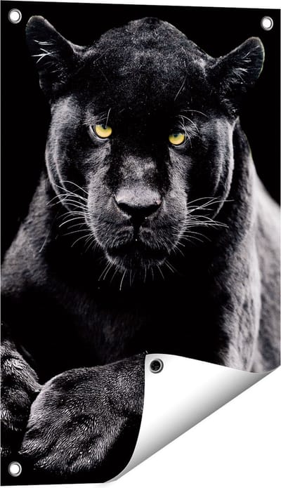 Gards Tuinposter Zwarte Panter - 40x60 cm - Tuindoek - Tuindecoratie - Wanddecoratie buiten - Tuinschilderij