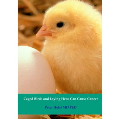 Caged Birds And Laying Hens Can Cause Cancer - Peter Holst MD PhD