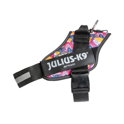 Limited Edition Julius-K9 IDC® Powerharness, Leaf 2 Gr. L/1: Borstomtrek 63-85cm voor honden