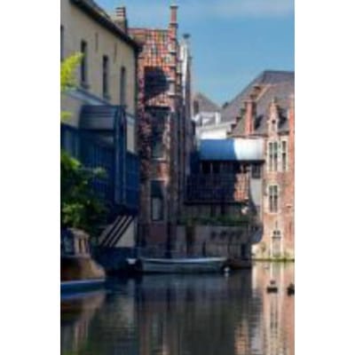 Het Vervolg Van Het Verhaal Van De Familie Kooilands - streetcat30 Uitterlinden