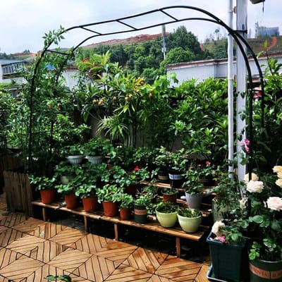 Metalen Tuinboog - Rozenboog Klimplanten - Bruiloft Decoratie - Weerbestendig Smeedijzer - 19mm Buis - Zwart