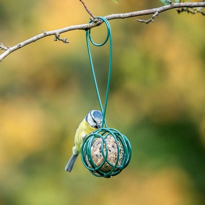 CJ Wildlife - Lima Vetbolschep en houder - Groen - Metaal - Vogelvoederplek