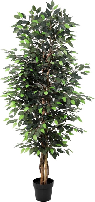 Florafy Kunstplant Ficus Benjamina 180cm - Kunstplanten voor binnen - Onderhoudsvrij