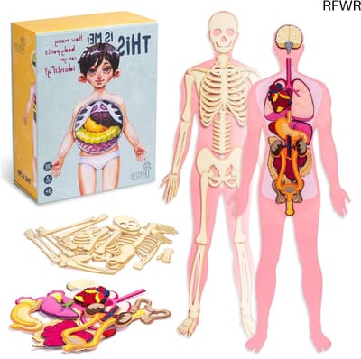 RFWR® Educatief Spel voor Kinderen: Afneembaar Menselijk Lichaam en Anatomie Speelgoed