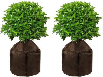 Dailygoods- Plantenwinterbescherming 65 x 70 cm - Vorstbescherming - Plantenhoes met trekkoord - Waterdicht - Robuust - Hoogwaardig 210D Oxford-weefsel