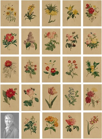 Vintage Postkaarten Set met Bloemenontwerpen op Kraftpapier - 24 Stuks, Perfect voor Verzending en Decoratie