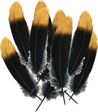 Partyxplosion Ganzenveer/sierveer - 20x stuks - zwart met goud - 18-22 cm - decoratie/hobbymateriaal
