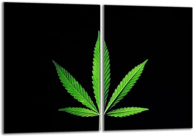 TMK ArtDeko - Glassprotectieplaat voor Fornuis - 40x52 - Bladmotief - Veilig en Hygiënisch