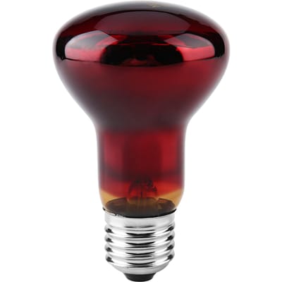 Duurzame Infrarood Verwarmings Warmtelamp Lamp voor Reptiel Huisdierbenodigdheden(25W)
