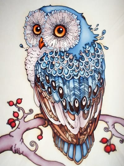 Diamond painting 30x40cm - uil ( ronde steentjes )