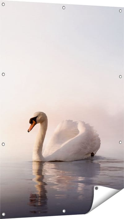 Gards Tuinposter Zwaan in het Water tijdens de Mist - 80x120 cm - Tuindoek - Tuindecoratie - Wanddecoratie buiten - Tuinschilderij