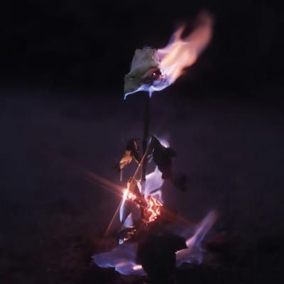 Farwarmth - Momentary Glow (CD)