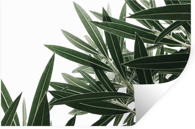 Muurstickers - Sticker Folie - Natuur - Planten - Bladeren - 30x20 cm - Plakfolie - Muurstickers Kinderkamer - Zelfklevend Behang - Zelfklevend behangpapier - Stickerfolie