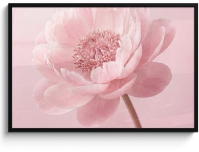 Poster in lijst - Fotolijst 120x80 cm - Posters - Bloem - Pioenroos - Roze - Posterlijst zwart - Decoratie - Wanddecoratie woonkamer - Muurdecoratie slaapkamer