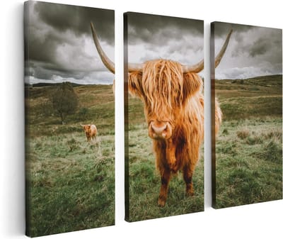 Artaza Canvas Schilderij Drieluik Schotse Hooglanders In De Wei - Kleur - 120x80 - Foto Op Canvas - Canvas Print
