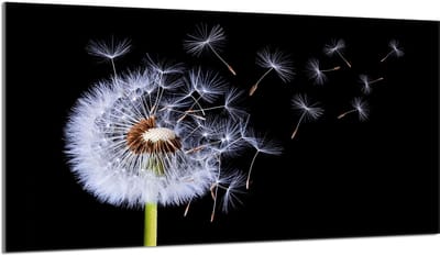 TMK ArtDeko - Snijplank - 90x52 cm - Kwiat - Veilig & Duurzaam