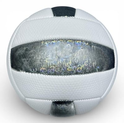 Volleybal - Maat 5 – Officiële Wedstrijdbal, 280g, 18 Panelen - Silver Ball - Beachvolleybal - Volleyballen