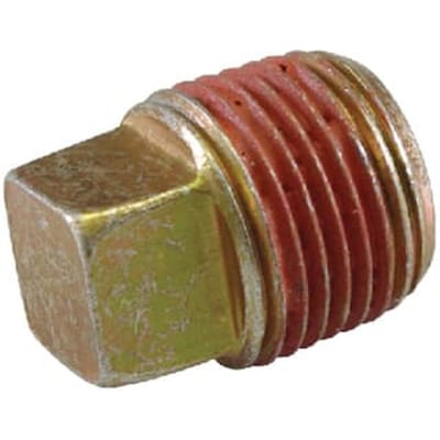 Briggs & stratton carterplug