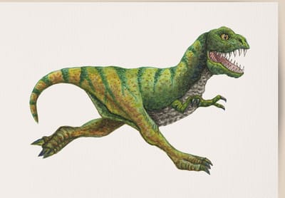 World of Mies poster dino - A4 - mooi dik papier - Snel verzonden! - dinosaurus jongenskamer - dieren in aquarel - geschilderd door Mies