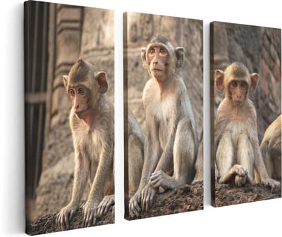 Artaza Canvas Schilderij Drieluik Drie Kleine Apen Naast Elkaar - 120x80 - Foto Op Canvas - Canvas Print