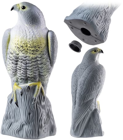 Sovima - Vogelverschrikker van kunststof, natuurgetrouw valk, grijpvogel, roofvogel, vogelafweer, duivenafweer, natuurlijke ongediertebestrijding (1 stuk)