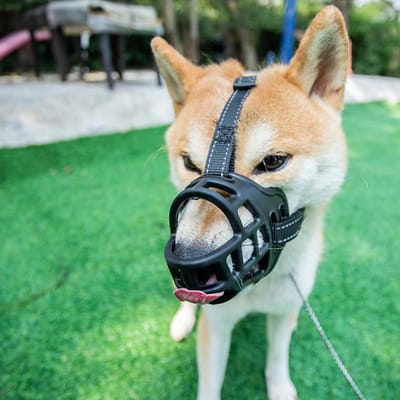 Hondenmuilkorf voor middelgrote honden, verstelbaar en ademend, veilig tegen bijten, met reflecterende strepen en anti-vuil eigenschappen