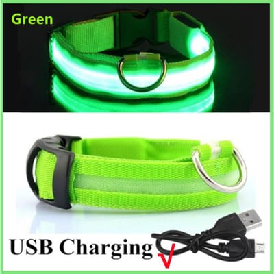 LED Gloeiende Halsband Verstelbare Knipperende Rechargea Lichtgevende Kraag Nacht Anti-verloren Hond Licht HarnasVoor Kleine Hond Huisdier producten M Neck 37-46 CM