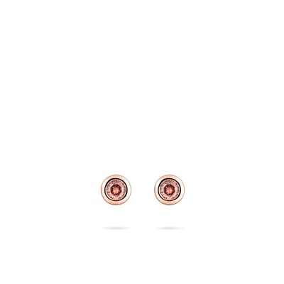 Gisser Jewels - Oorstekers E1001RBR - ros̩goud verguld zilver - bruine stenen in gladomzetting - 5mm