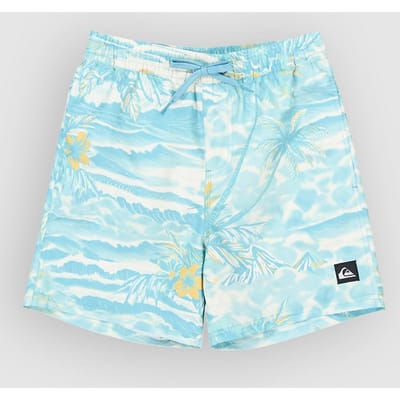 Quiksilver Everyday Printed Volley 14´´ Zwembroek Blauw 8 Years Jongen