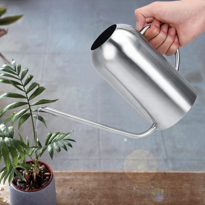 Arrosoir à long bec en acier inoxydable pour plantes succulentes, 1,5 L, outil d'arrosage pour fleurs de jardin white