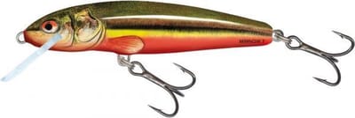 Salmo Minnow 9F 9cm - 10 gram - floating rainbow dace